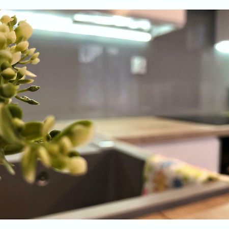 Apartament Przy Ratuszu Rzeszów Eksteriør billede